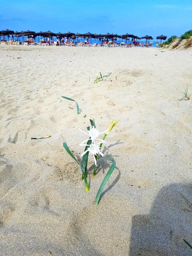 تيرّينْيا Regina Del Mare Holiday Apartments المظهر الخارجي الصورة